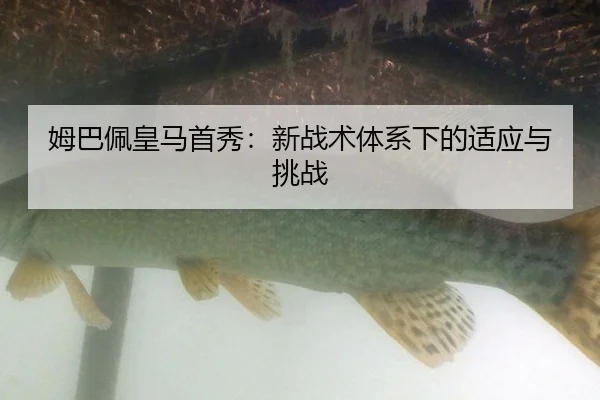 姆巴佩皇马首秀：新战术体系下的适应与挑战
