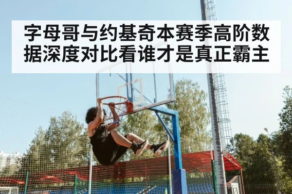 字母哥与约基奇本赛季高阶数据深度对比看谁才是真正霸主