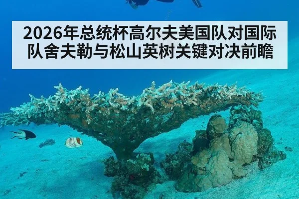 2026年总统杯高尔夫美国队对国际队舍夫勒与松山英树关键对决前瞻